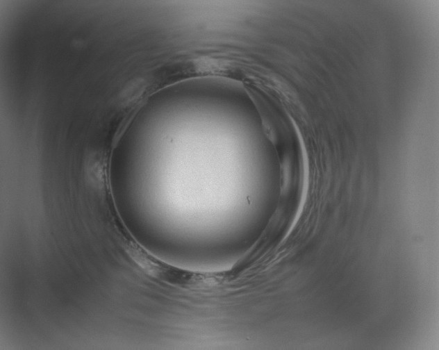 X0000075820329200609151219