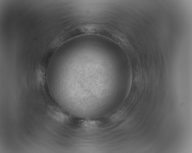X0000075820332200609151219