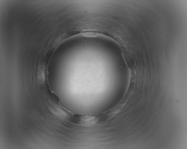 X0000075820334200609151219