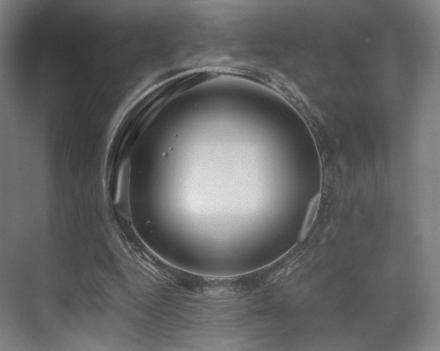 X0000075820344200609151218