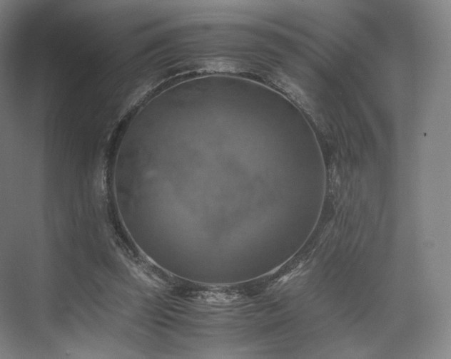 X0000075820347200609151218