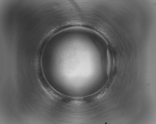 X0000075820352200609151218