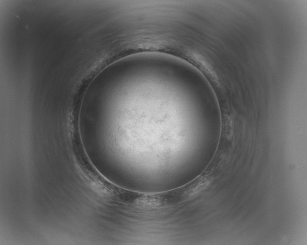 X0000075820354200609151218