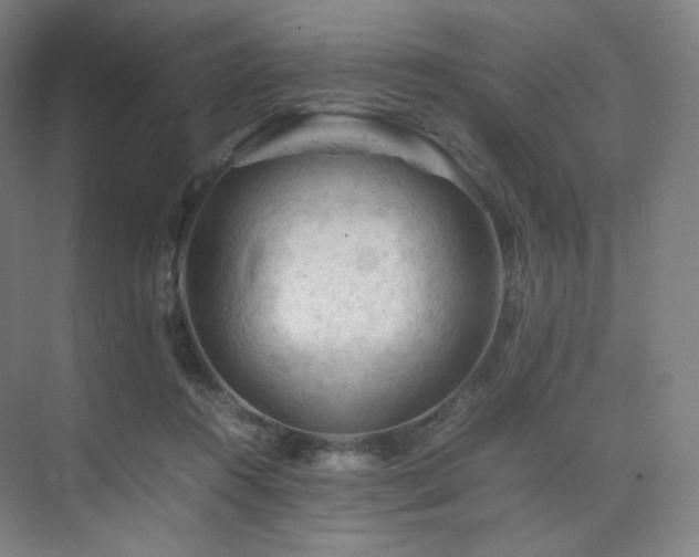 X0000075820360200609151218