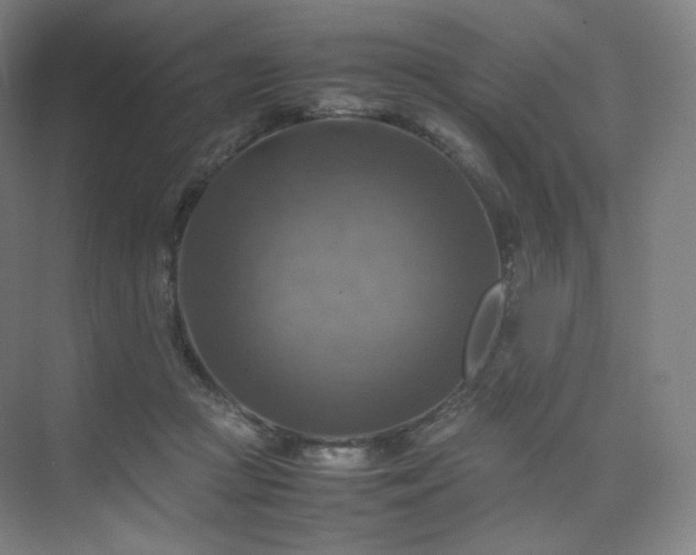 X0000075820361200609151218