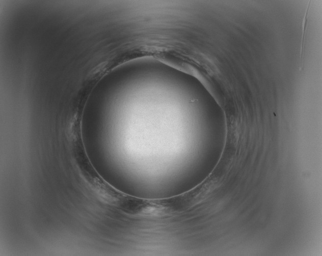 X0000075820364200609151218