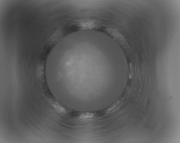 X0000075820369200609151218