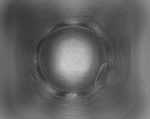 X0000075820374200609151219