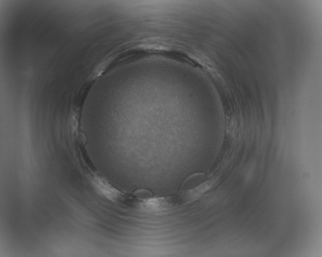 X0000075820382200609151219