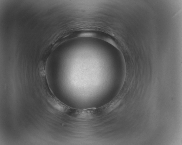 X0000075820384200609151219