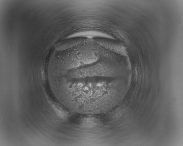 X0000075820408200609151217