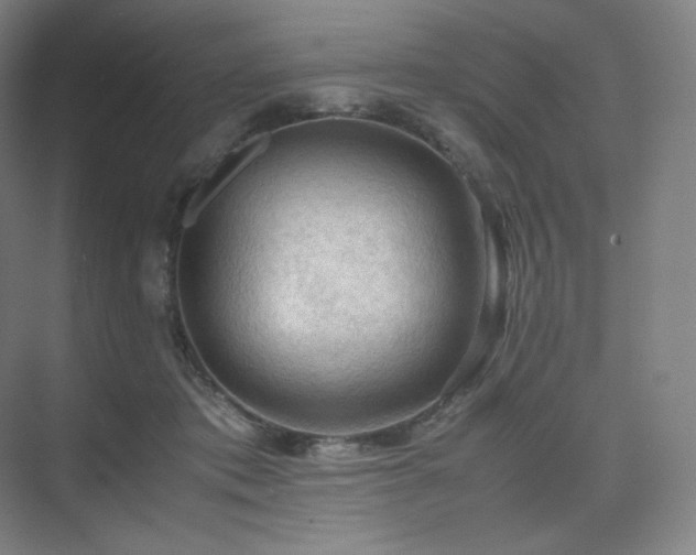X0000075820413200609151217