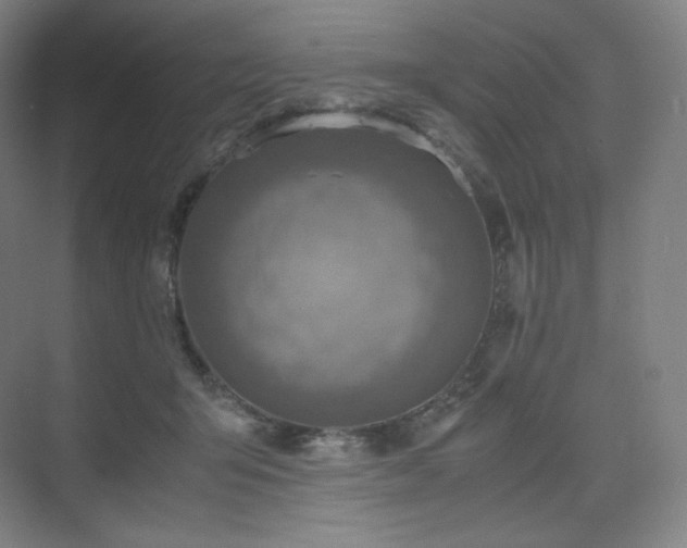 X0000075820415200609151217