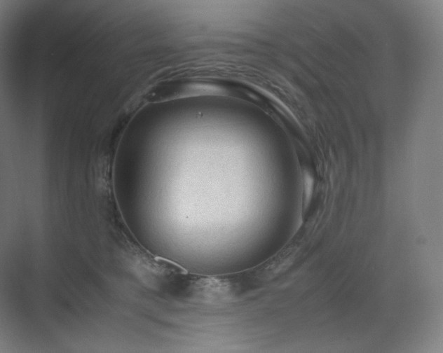 X0000075820421200609151217