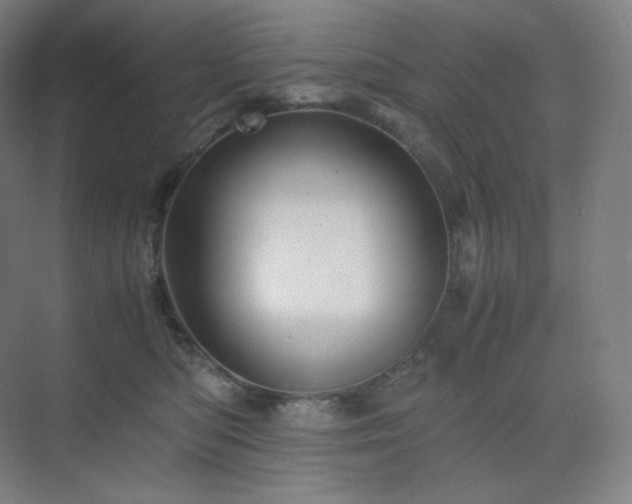 X0000075820422200609151217