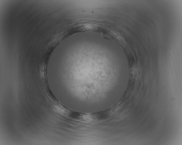 X0000075820423200609151217
