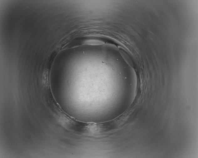 X0000075820425200609151217