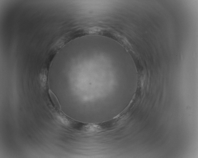 X0000075820427200609151217