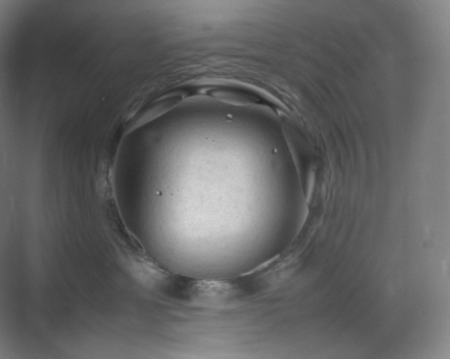 X0000075820429200609151217