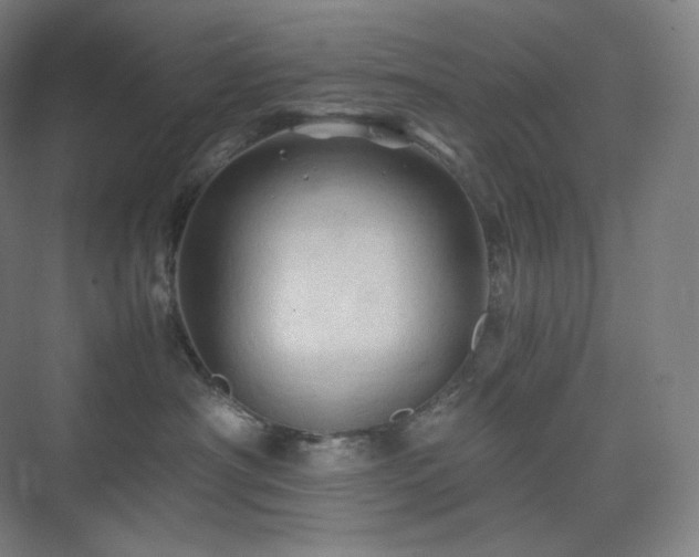 X0000075820430200609151217