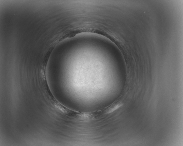 X0000075820432200609151217