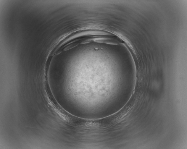 X0000075820437200609151216