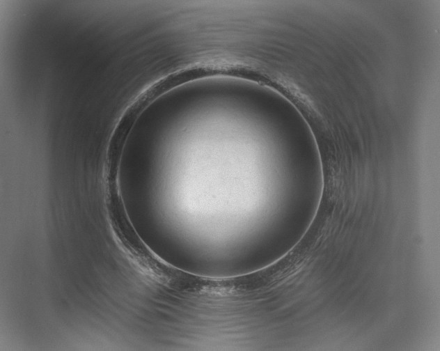 X0000075820440200609151216