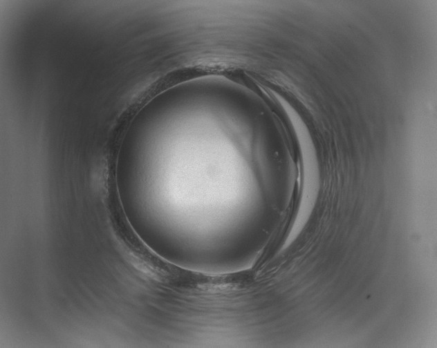 X0000075820448200609151217