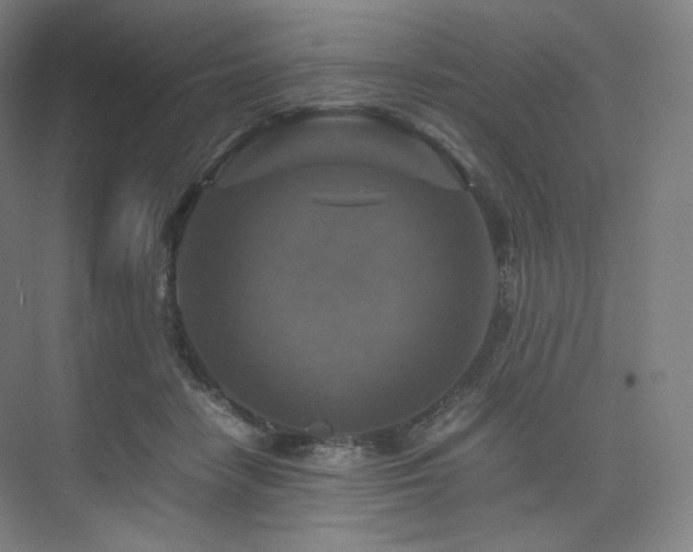 X0000075820458200609151217