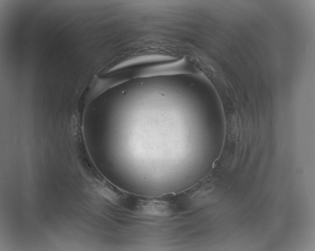 X0000075820463200609151217