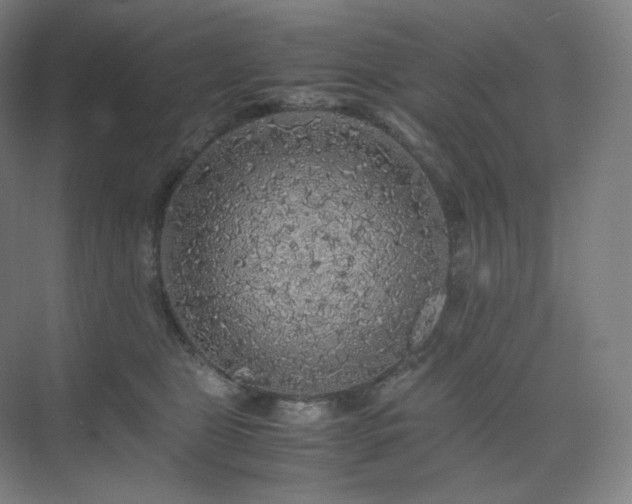 X0000075820469200609151217