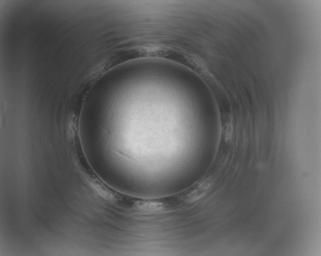 X0000075820476200609151217