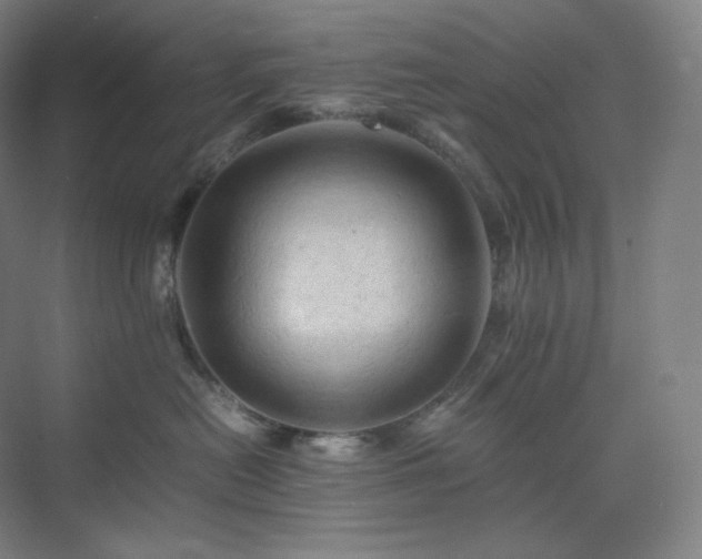 X0000075820478200609151217