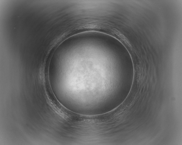 X0000075820482200609151216