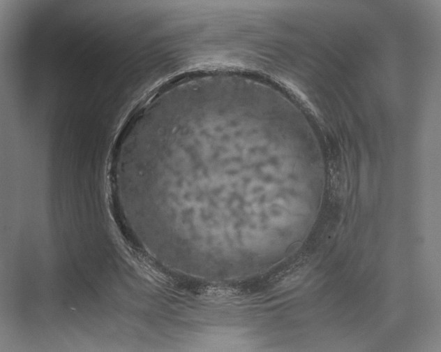 X0000075820487200609151216