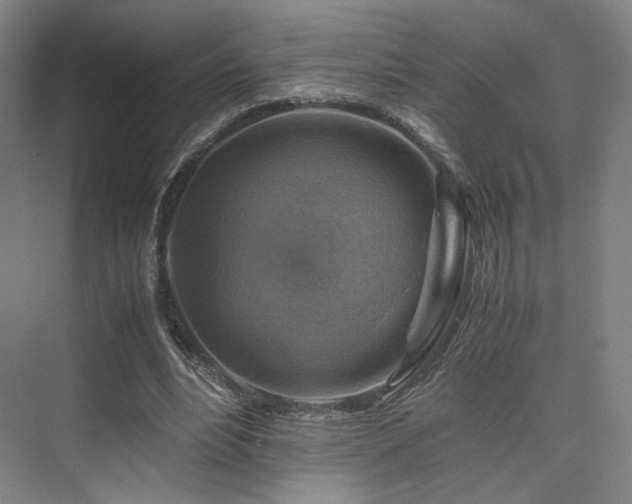 X0000075820488200609151216