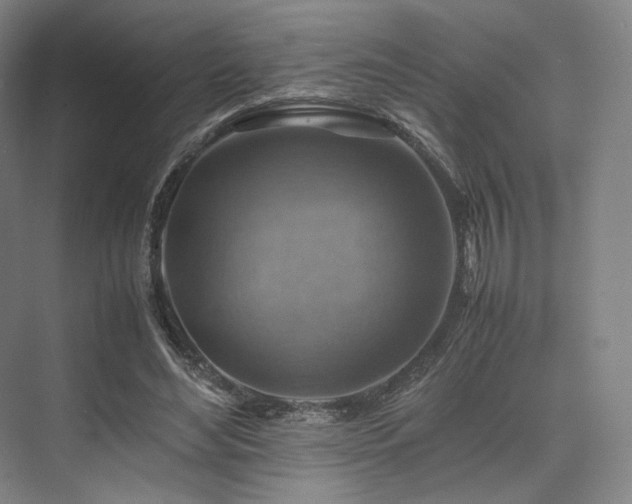 X0000075820492200609151216