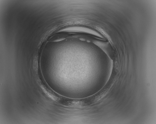 X0000075820493200609151216