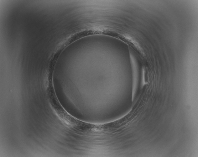X0000075820496200609151216