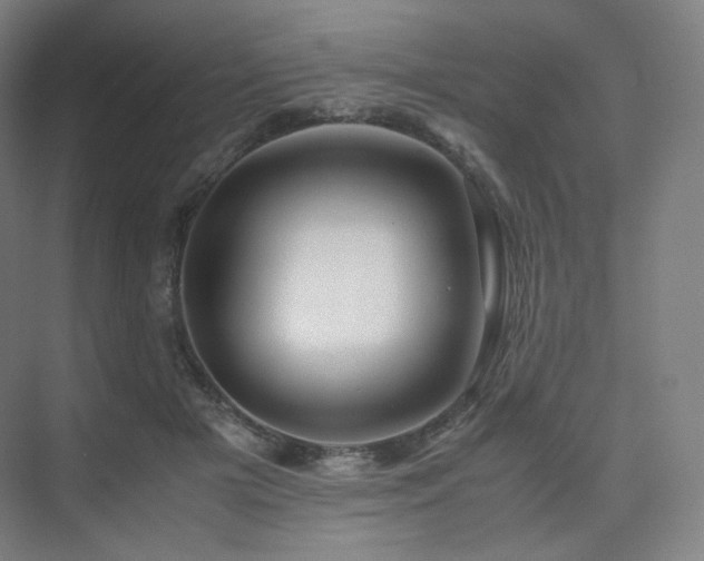 X0000075820505200609151216
