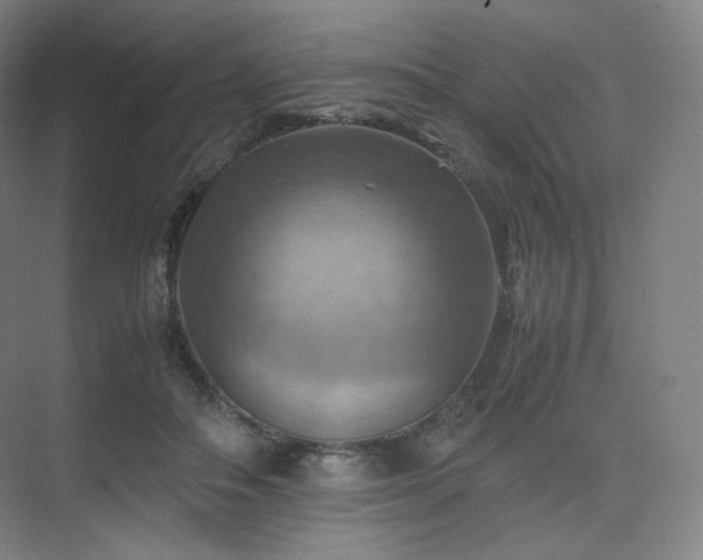 X0000075820506200609151216