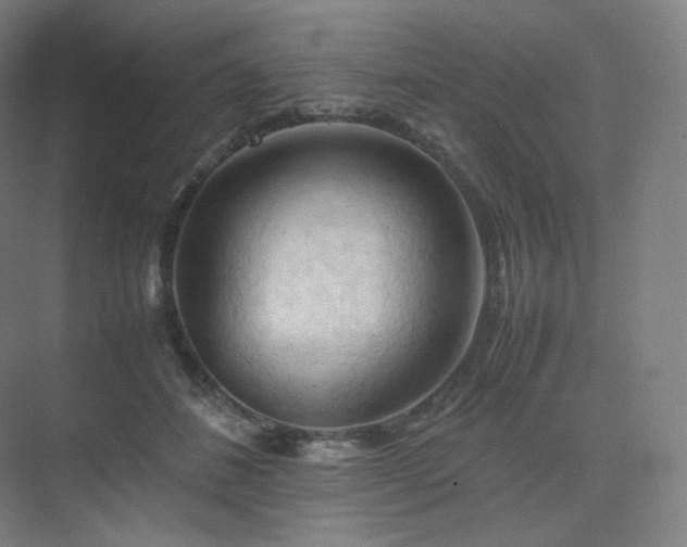 X0000075820508200609151216