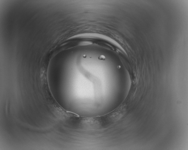 X0000075820521200609151216