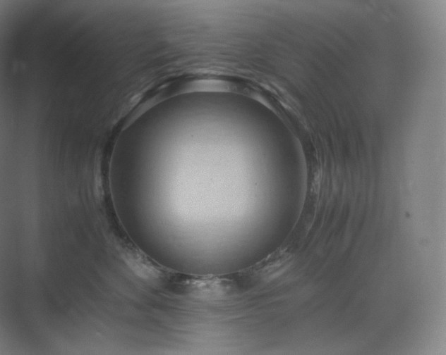 X0000075820524200609151216
