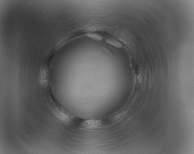 X0000075820526200609151215