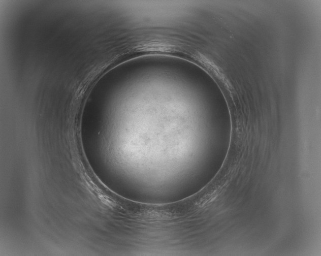 X0000075820529200609151215