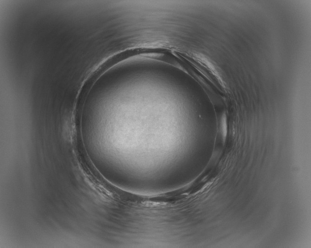 X0000075820532200609151215