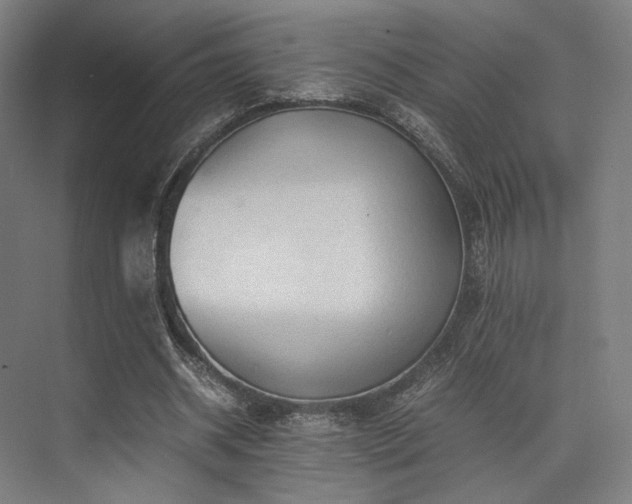 X0000075820534200609151215