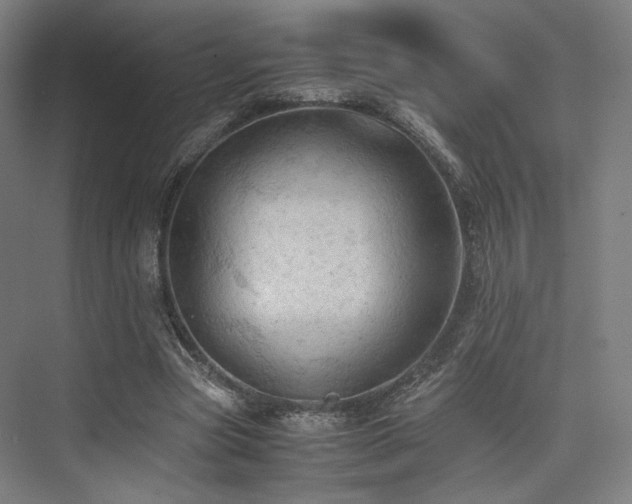 X0000075820537200609151215