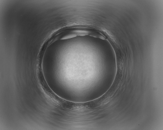 X0000075820540200609151215